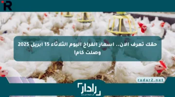 حقك تعرف الآن.. أسعار الفراخ اليوم الثلاثاء 15 أبريل 2025 وصلت كام!